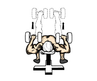 πίεσης στήθους με αλτήρες Dumbell-Bench-Press.jpg