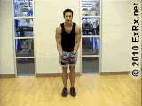 Εκτάσεις ώμων ektaseis-omon.gif