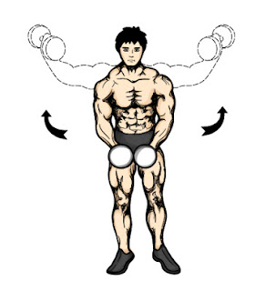 ανοίγματα με αλτήρες lateral_raises.jpg