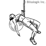 Ανοίγματα στο τροχαλία  ball-chest-fly-one-at-a-time.gif