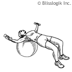 Εκτάσεις στήθους στη μπάλα  ball-chest-fly.gif