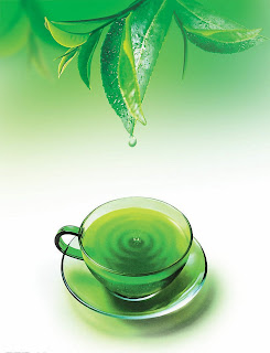 Εκχύλισμα Πράσινου Τσαγιού prasino-tsai-Green-Tea-Extract.jpg