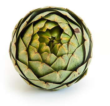 Αγκινάρα the-most-nutritious-fruits-and-vegetables-graphics-12.jpg