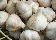 Σκόρδο Garlic.jpg