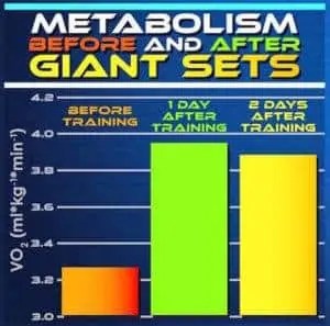 GIANT SETS 29063345_10210951645087013_6838296695030153216_n.jpg