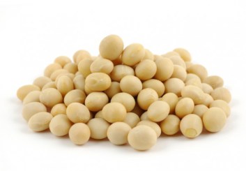 Σόγια soya.jpg